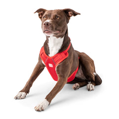 Pet Travel Harness - Red