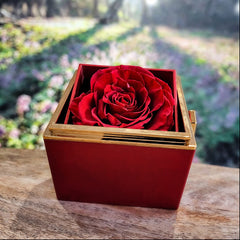 Love Knot Necklace with Rotating Rose Gift Box G2