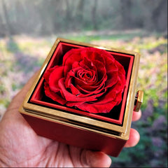 Love Knot Necklace with Rotating Rose Gift Box G2