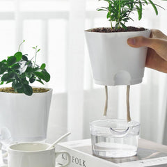 Water-Absorbing Flowerpot