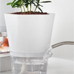 Water-Absorbing Flowerpot