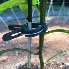 Reusable  Plant Clips